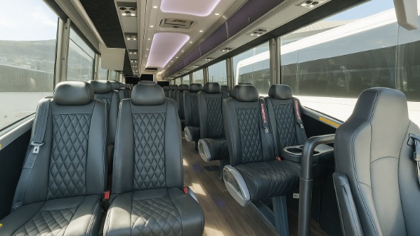 greenwich 20 passenger minibus rental