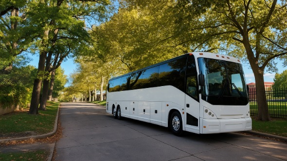 norwalk wedding transportation